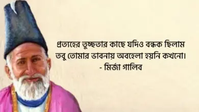 মুঘল আমলের শেষ কবি: মির্জা গালিবের বিষণ্ণ সুর