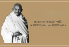 গান্ধীর এক স্বগতোক্তি: মহাত্মার অন্তর্দৃষ্টি ও সংগ্রামের কাহিনী