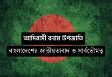 আদিবাসী বনাম উপজাতি: বাংলাদেশের জাতীয়তাবাদ ও সার্বভৌমত্ব